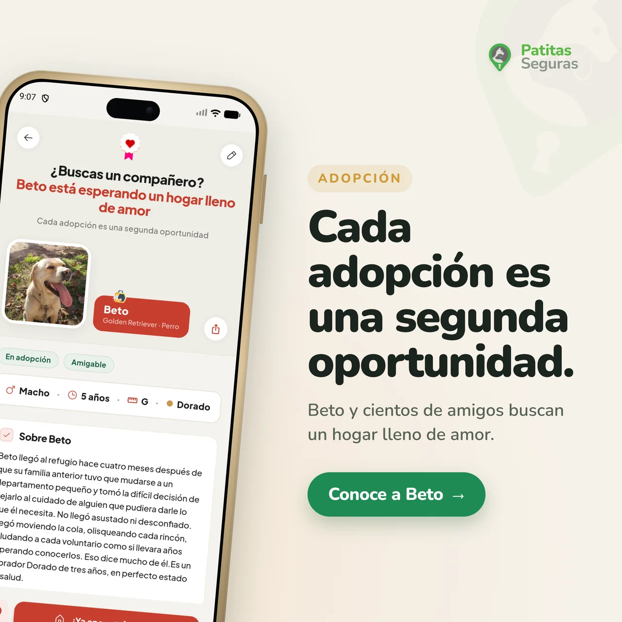 Cada adopción es una segunda oportunidad. Beto, un Golden Retriever, y cientos de amigos buscan un hogar lleno de amor. Pantalla de adopción de Patitas Seguras.
