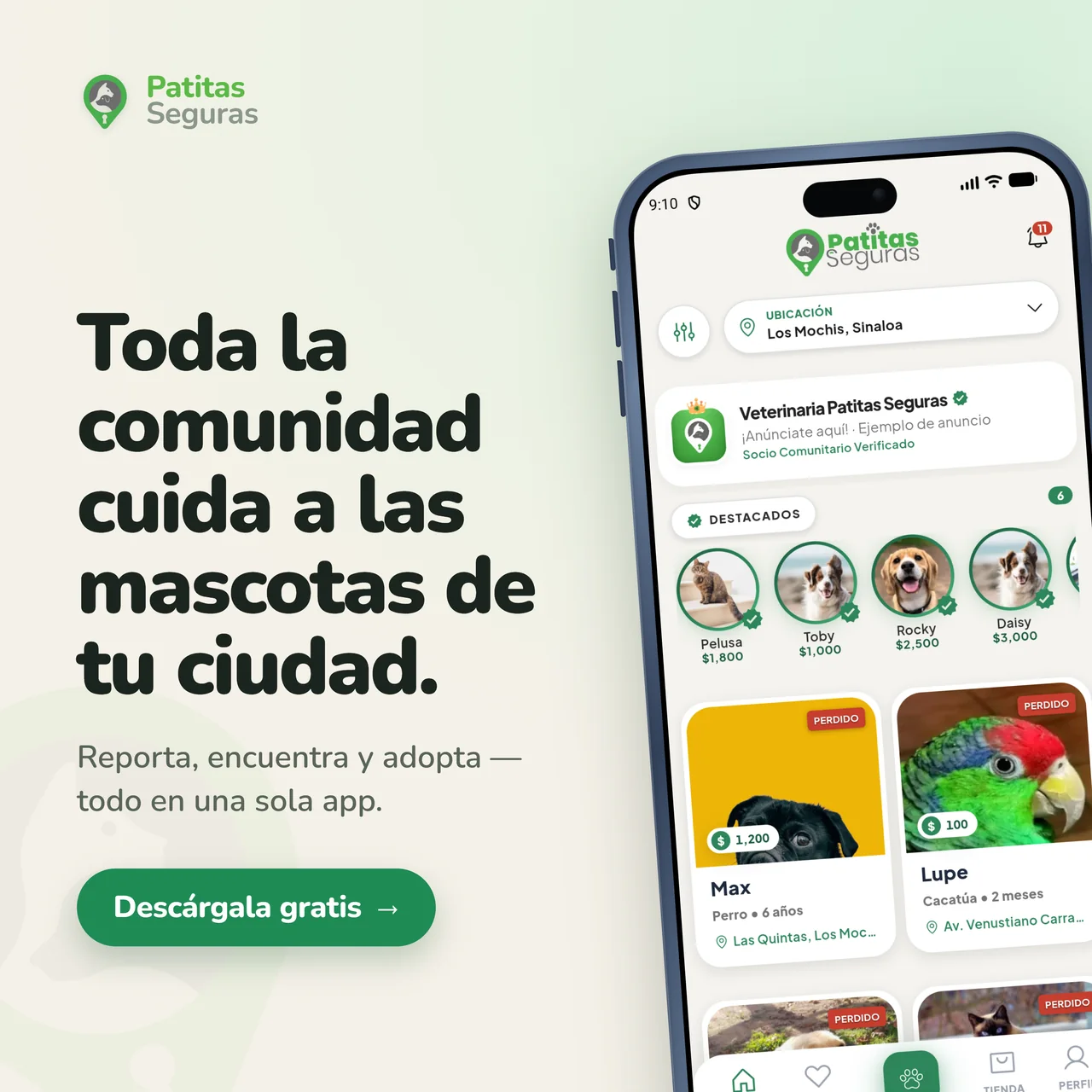 Toda la comunidad cuida a las mascotas de tu ciudad. Reporta, encuentra y adopta — todo en una sola app. Feed de Patitas Seguras en Los Mochis, Sinaloa.